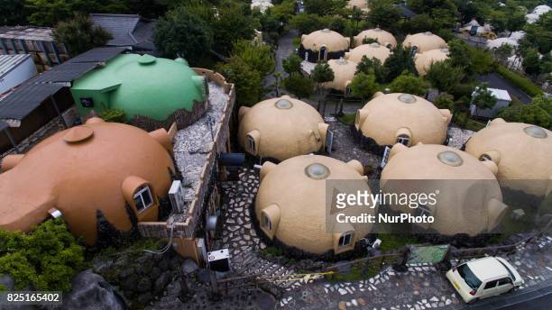 Aerial view of Quake-proof dome houses in Aso Farm Land, Kumamoto prefecture, Japan, July 31, 2017.