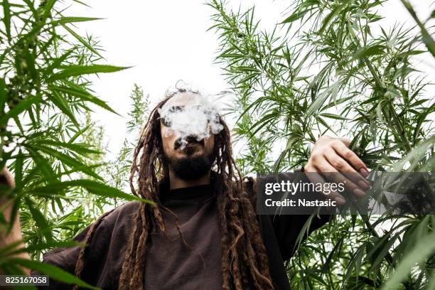 rastafarian smoking marijuana joint - marijuana joint imagens e fotografias de stock