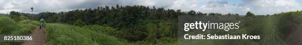 panorama on green ubud, trail, bali, indonesia - campuhan ridge walk stockfoto's en -beelden