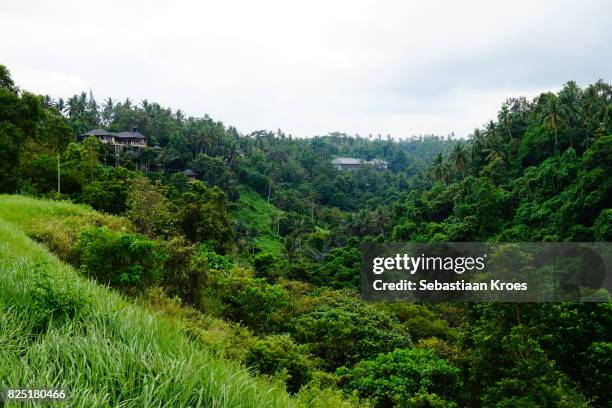 view on the green ridge, river below, campuhan ridge walk, ubud, bali, indonesia - campuhan ridge walk stock pictures, royalty-free photos & images