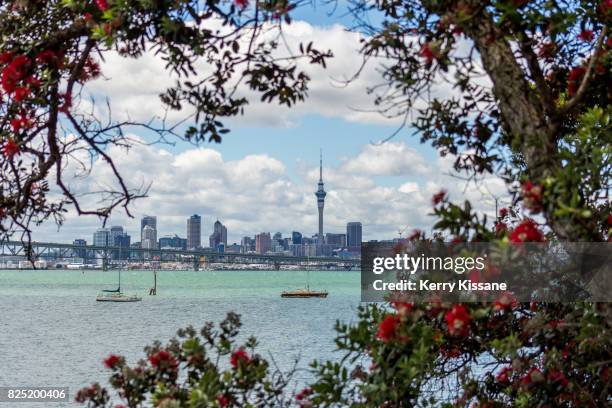 distant view of auckland city - pohutukawa tree stock pictures, royalty-free photos & images