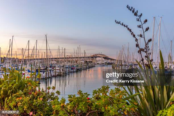 westhaven sunset - waitemata harbor stock pictures, royalty-free photos & images