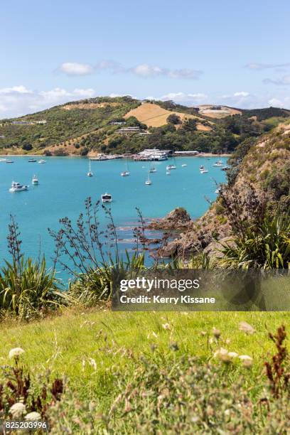 summer day on waiheke island - waiheke island stock pictures, royalty-free photos & images