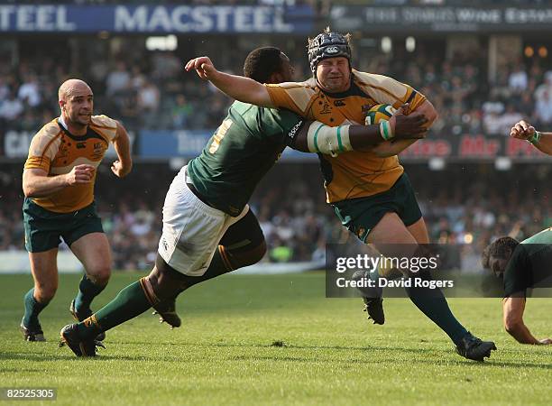 Benn Robinson of Australia is tackled by Beast Mtawarira during the 2008 Tri Nations between the South Africa Springboks and the Australian Wallabies...