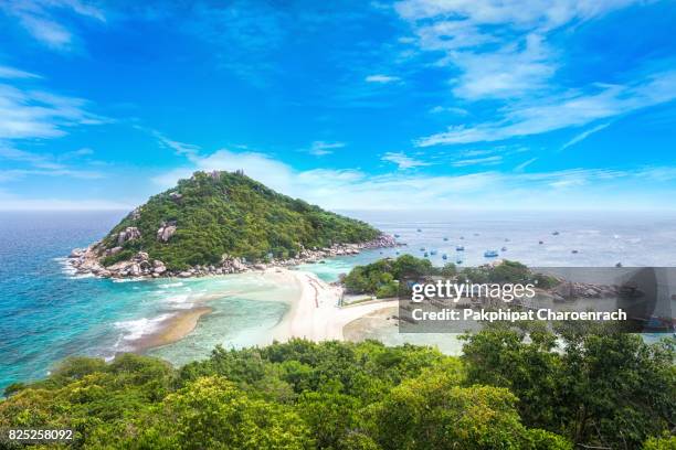 view point from top of mountain for see the beach, sea and nature of nang yuan and tao island. - samui bildbanksfoton och bilder