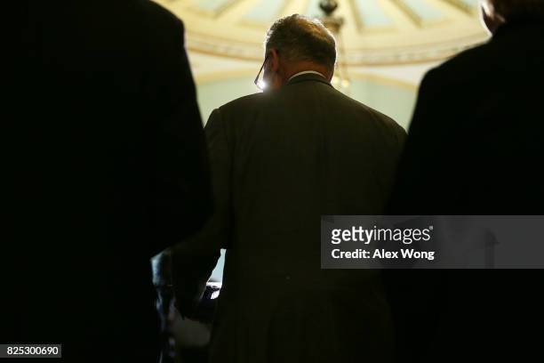 Senate Minority Leader Sen. Chuck Schumer speaks during a media briefing at the Capitol August 1, 2017 in Washington, DC. Senate Deomcrats held their...