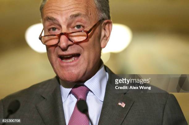 Senate Minority Leader Sen. Chuck Schumer speaks during a media briefing at the Capitol August 1, 2017 in Washington, DC. Senate Deomcrats held their...