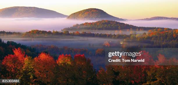 east peacham, vermont-1 - peacham stock pictures, royalty-free photos & images