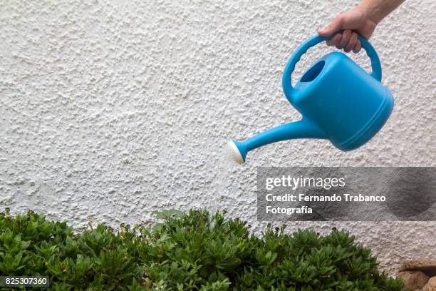 watering the garden - rosa hose photos et images de collection