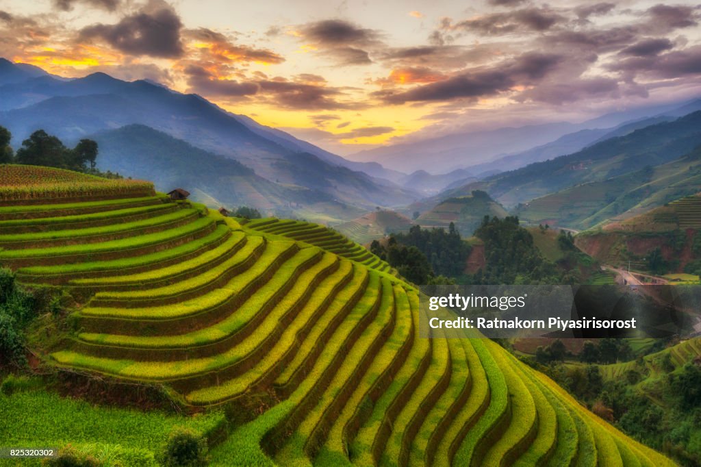 Rice fields terraced of Mu Cang Chai, YenBai, Vietnam