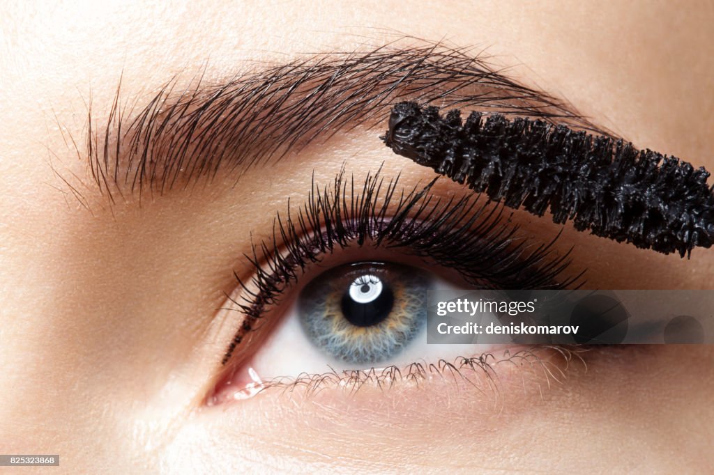 High Resolution Lashes Closeup Of Makeup Eye With Long Lashes With Black Mascara High-Res ...