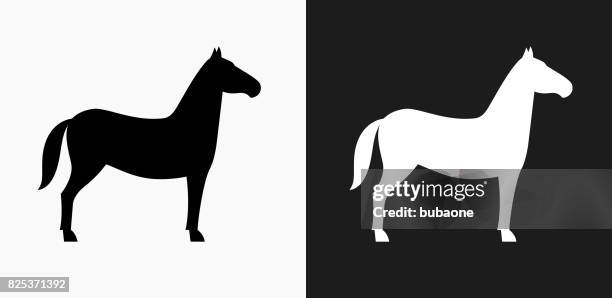 horse icon on black and white vector backgrounds - white horse on black background stock illustrations