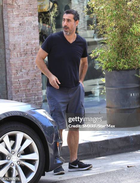 Serj Tankian is seen on August 1, 2017 in Los Angeles, California.