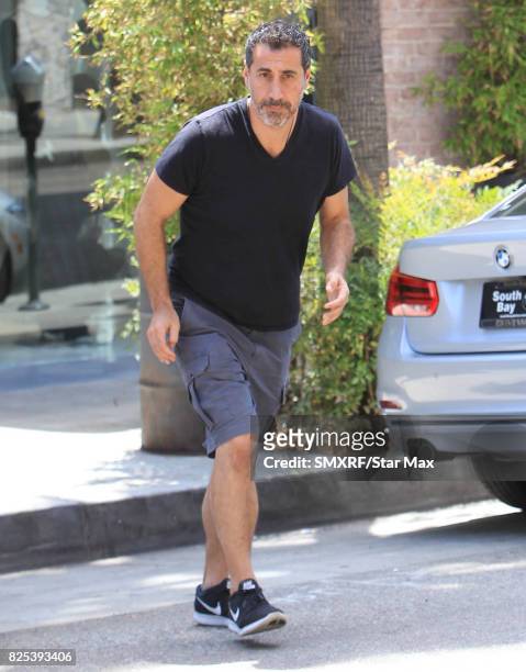 Serj Tankian is seen on August 1, 2017 in Los Angeles, California.