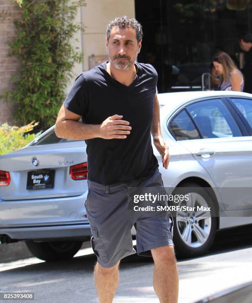 Serj Tankian is seen on August 1, 2017 in Los Angeles, California.