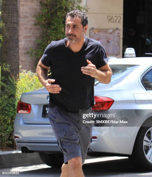 Serj Tankian is seen on August 1, 2017 in Los Angeles, California.