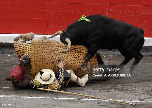 French picador Jacques Monnier falls after being knocked down by a Fuente Ymbro fighting bull during the seventh corrida of the Aste Nagusia...