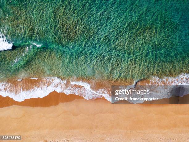 aerial view of the australian bondi beach - manly beach stock pictures, royalty-free photos & images