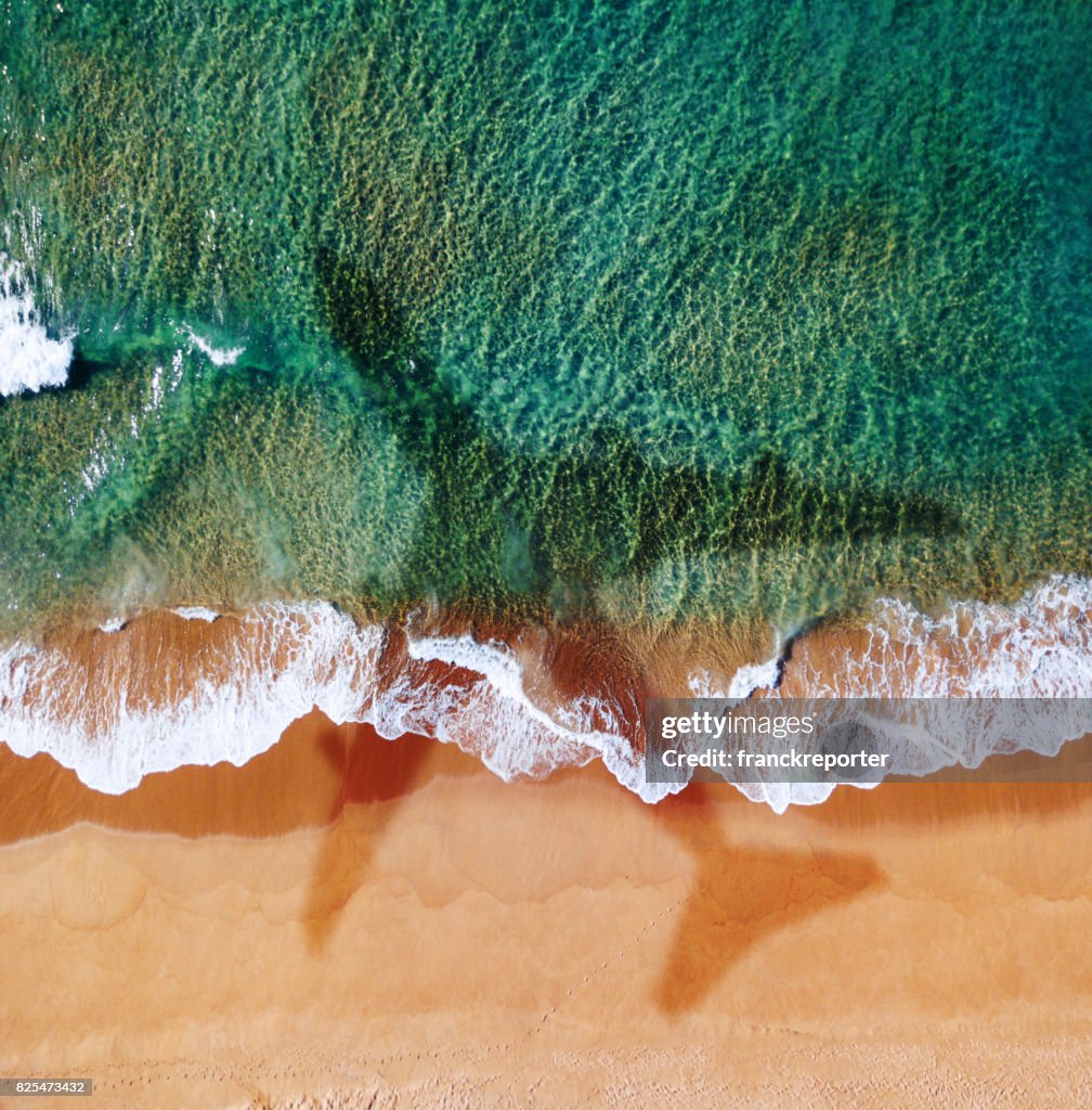 Airplane over the beach in australia