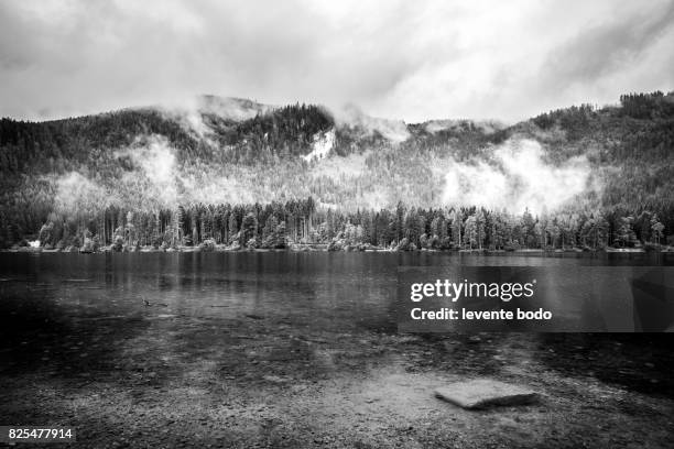 nature tranquility. moody mountain landscape with a pine trees. black and white moody landscape. - zwart wit polaroids stockfoto's en -beelden