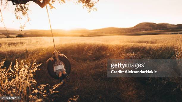little boy on a tire swing - tire swing stock pictures, royalty-free photos & images