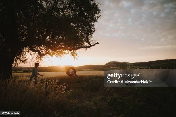 higher, higher... - tire swing stock pictures, royalty-free photos & images