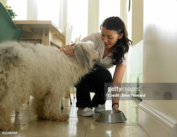 2,061 Woman Feeding Dog Photos and Premium High Res Pictures - Getty Images