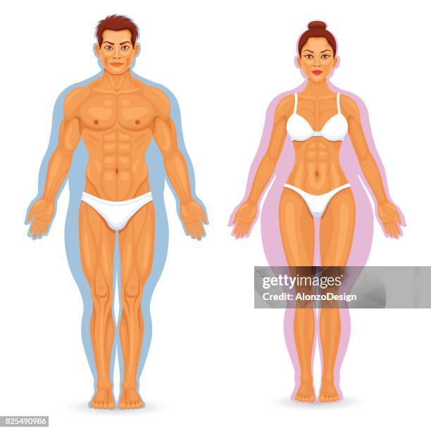 before and after weight loss - before and after weight loss stock illustrations