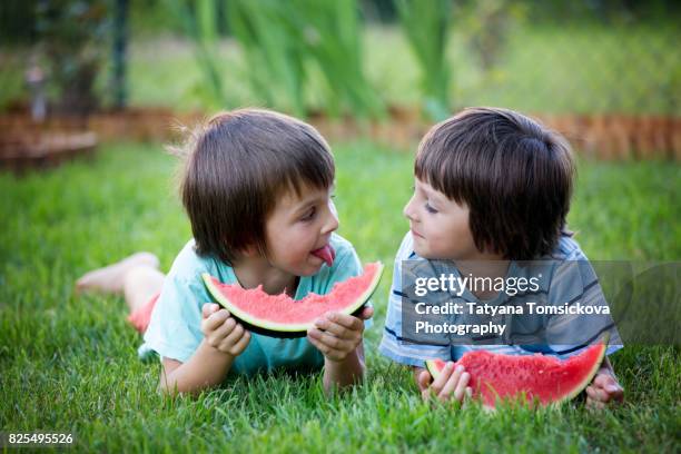 happy little children, boy brothers with watermelon in a garden, summertime - protest against a programe to allegedly improve of students and fight hunger stockfoto's en -beelden