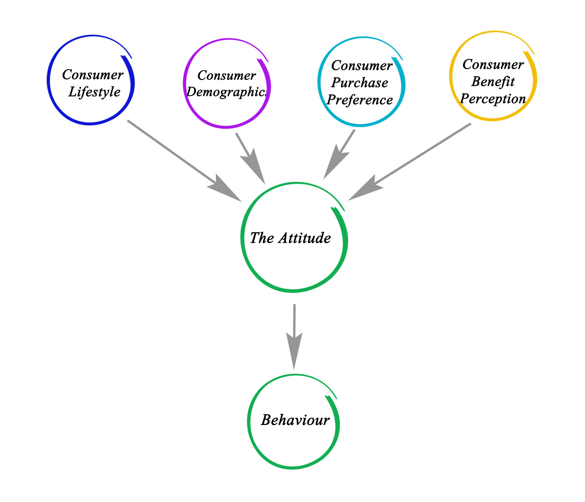 theoretical model