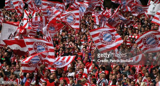 Fans of Muenchen cheer during the Bundesliga match between Borussia Dortmund and FC Bayern Muenchen at the Signal-Iduna Park on August 23, 2008 in...