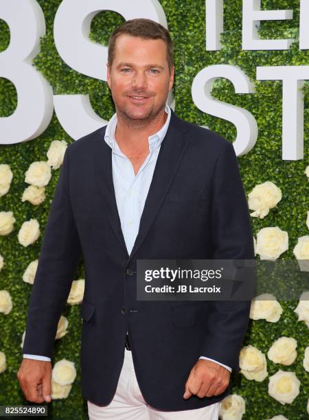 Chris O'Donnell attends the 2017 Summer TCA Tour - CBS Television Studios' Summer Soiree on August 01 in Studio City, California.