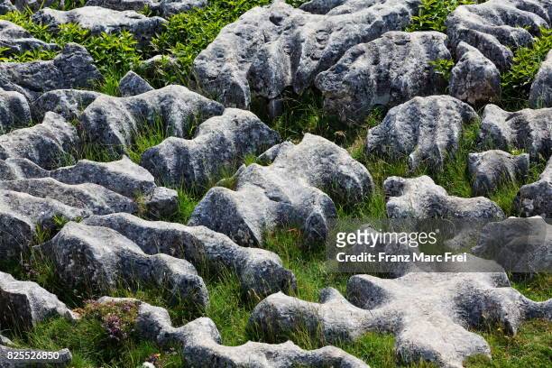 limestone pavement, malham cove, malham, yorkshire dales nationalpark, north yorkshire, england, united kingdom - limestone pavement - fotografias e filmes do acervo