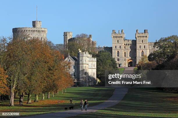 the long walk, windsor great park, windsor castle, berkshire, england - castle wall stock pictures, royalty-free photos & images