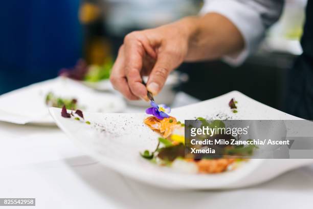 chef prepares healthy salad - dining experience stock pictures, royalty-free photos & images