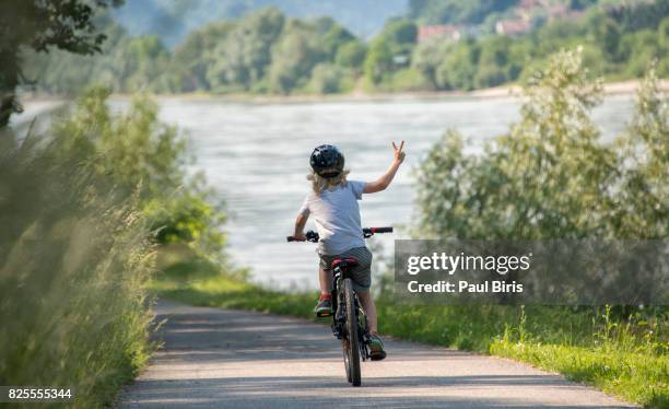 danube’s wachau valley , bike ride, austria - 下奧地利州 個照片及圖片檔