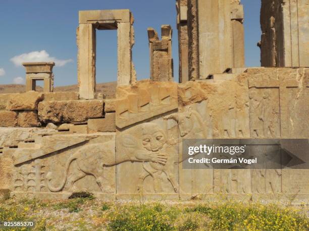 persepolis ancient ruins stairs, gates and carvings - marvdasht, iran - nowruz stock pictures, royalty-free photos & images