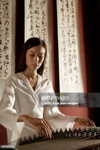 Gu Jing Instrument Guzheng Chinese Instrument