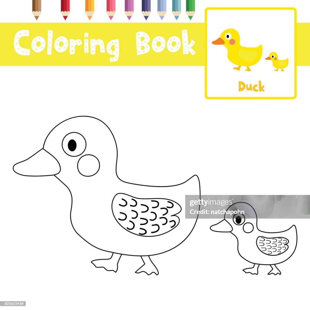 Colorear Página Madre Y Poca Ilustración De Vector Pato Animales De Dibujos  Animados Carácter Ilustración de stock - Getty Images