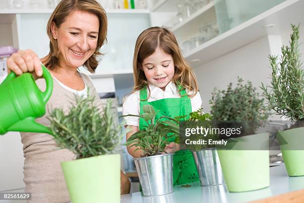 daughter and mother watering herbs - kräutergarten stock-fotos und bilder