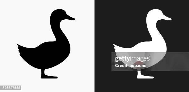 illustrations, cliparts, dessins animés et ic�ônes de icône de canard sur fond de vector noir et blanc - canards