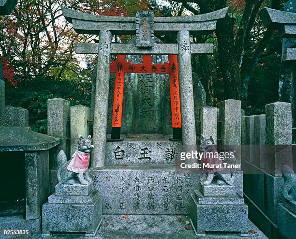 fushimi inari shrine - torii gate stock pictures, royalty-free photos & images