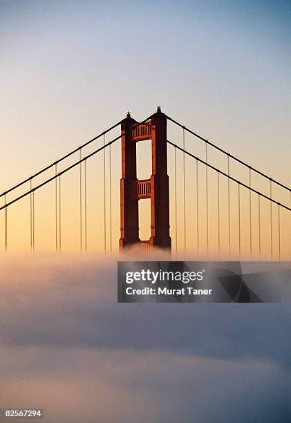 golden gate bridge in fog - golden gate bridge stock pictures, royalty-free photos & images