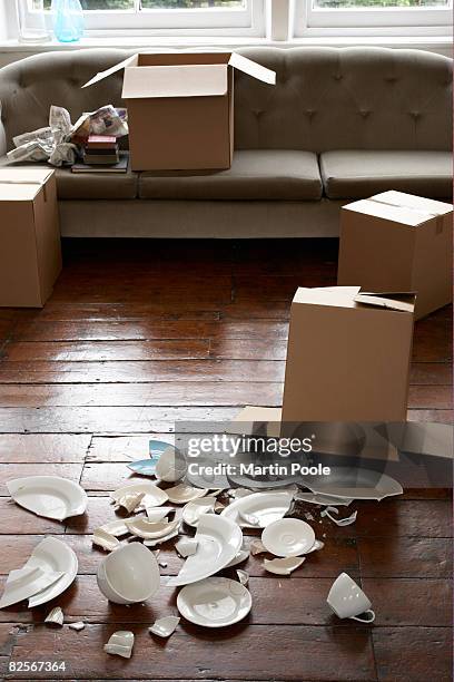 broken crockery next to cardboard box - porcelain floor stock pictures, royalty-free photos & images