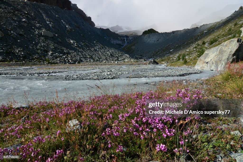 The proglacial area of the Verra Grande Glacier, Ayas Valley, Italian Alps.