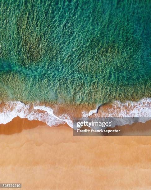 aerial view of the australian bondi beach - bondi stock pictures, royalty-free photos & images