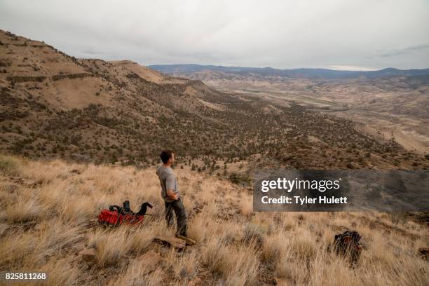 244 Oregon Ridge Park Stock Photos, High-Res Pictures, and Images ...