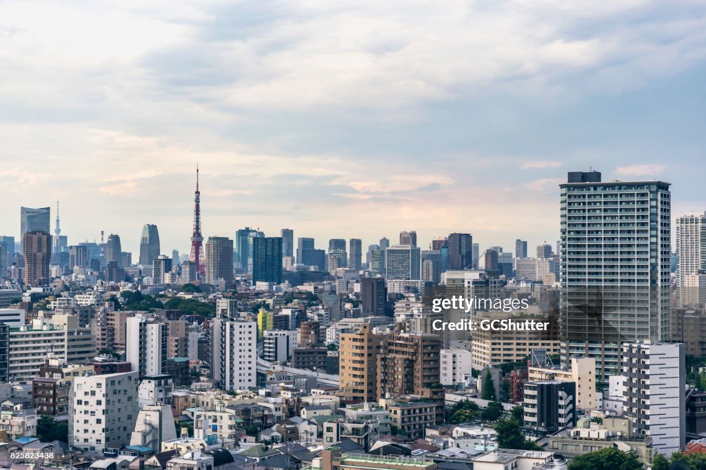 Ariel beeld van de skyline van Tokyo in overdag