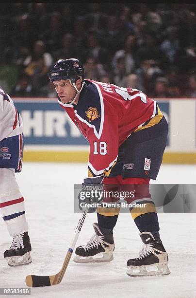 Mike Rough Interviews 21 Mike Hough Panthers Photos & High Res Pictures - Getty Images