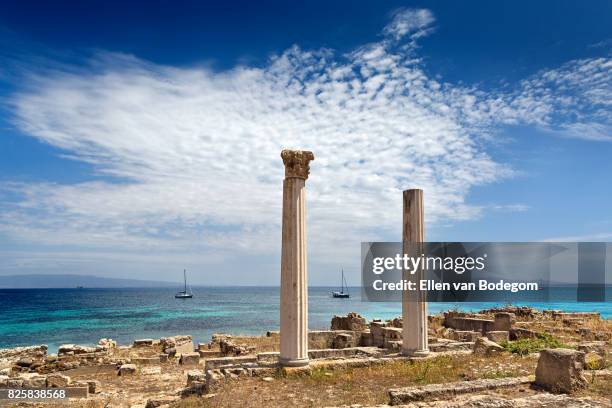 view over tharros, an archaeological site on the west coast of sardinia - oristano stockfoto's en -beelden